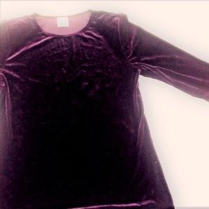 R&M RIchards by Karen Kwong Purple Velvet Top